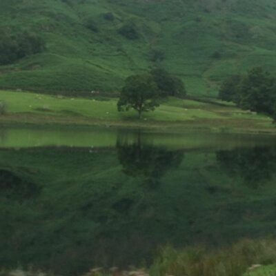Things To Do In The Lake District With Kids