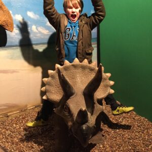 Torquay’s Dinosaur World