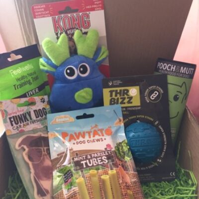 Our first My Pet Gift Box Review