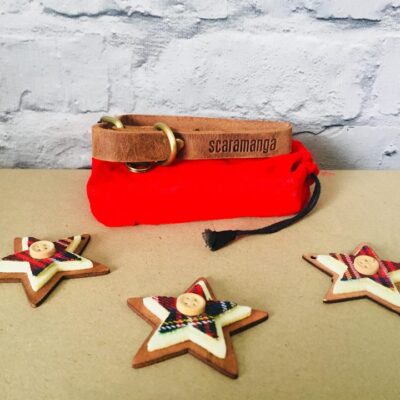Christmas gift ideas for dogs and their owners