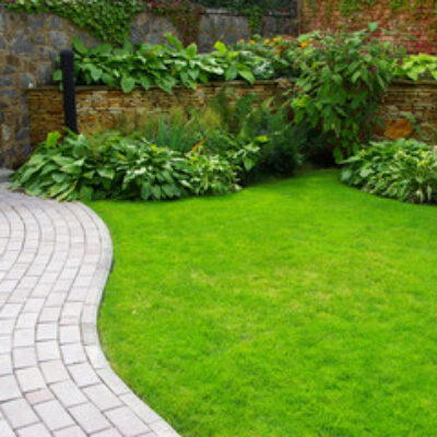 Growing The Best Type Of Lawn For Your Garden Usage