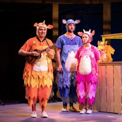 Zog Live On Stage At the Storyhouse Chester | Review