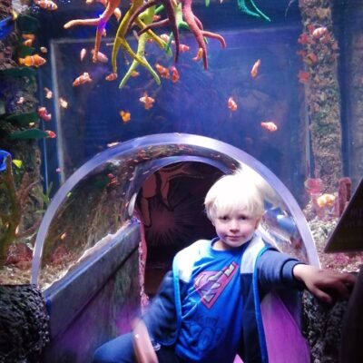 Pirates and Mermaids at Sea Life Manchester this summer