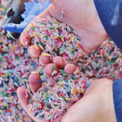 Helping Your Child Develop Fine Motor Skills