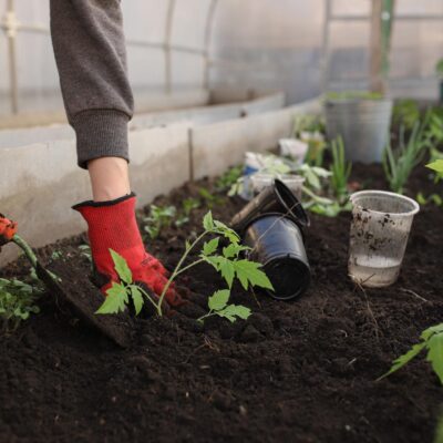 The Importance Of Community Involvement For Children