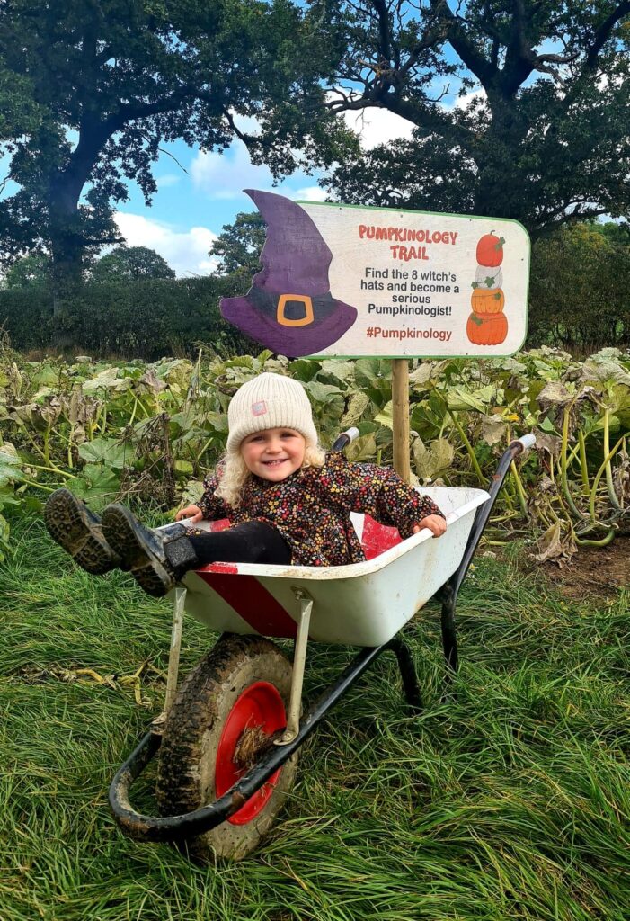 pumpkin picking at Bolesworth