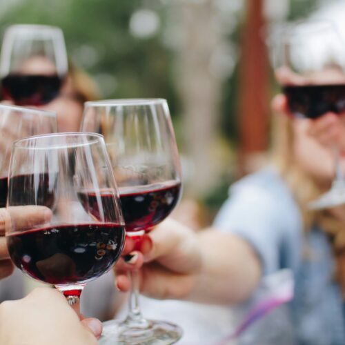 The Best Wine Regions for First-Time Tour Goers