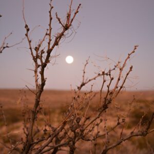 How To Have A Peaceful Week in Arroyo City, Texas