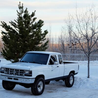 What Every New Truck Owner Should Know About Vehicle Protection