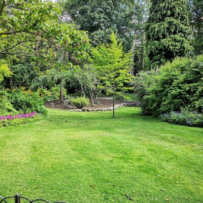 The Easy Way to Keep Your Yard Looking Fresh All Season