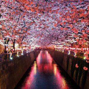 6 Must-Visit Places in Japan for First-Time Travelers