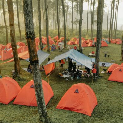 Why Holiday Camps Are a Great Choice for Families