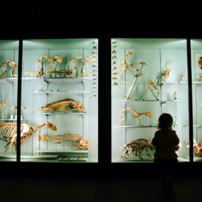 How to Foster a Love of History in Your Child